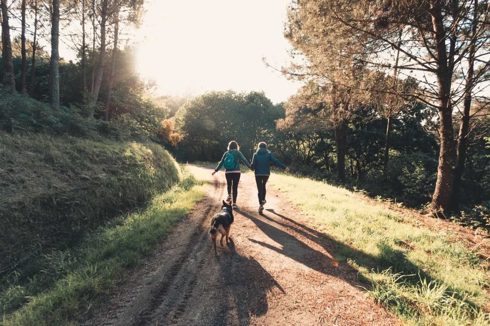 Two people and their dog walking a countryside trail in evening sun